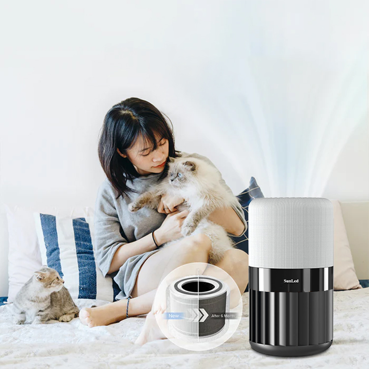 Air purifier