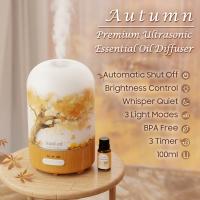 Can You Leave an Aroma Diffuser on All Night?